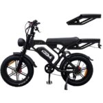 M600 Two-Seater eBike for Sale