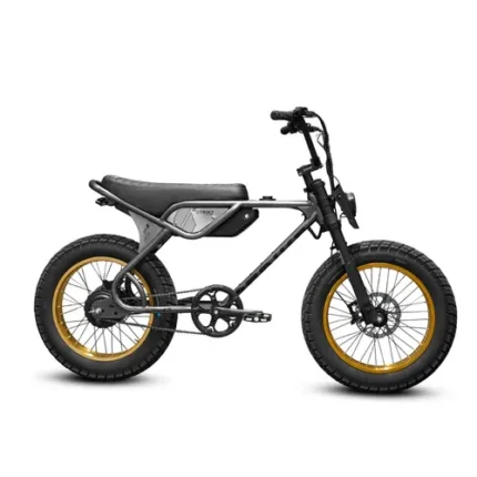 SPYDER 750W – GRAPHITE ORO