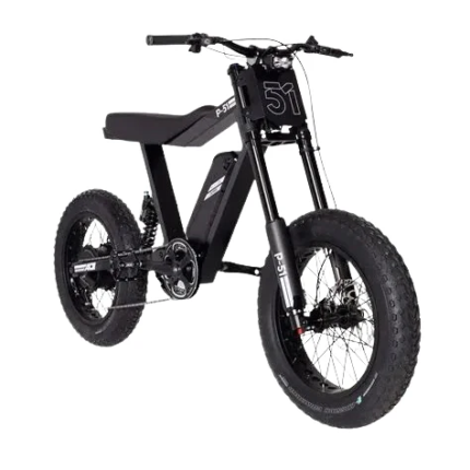 P-51 ACE Ebike Jet Black